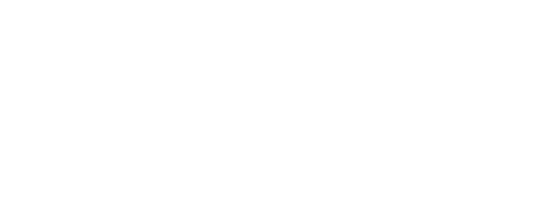 AAP logo